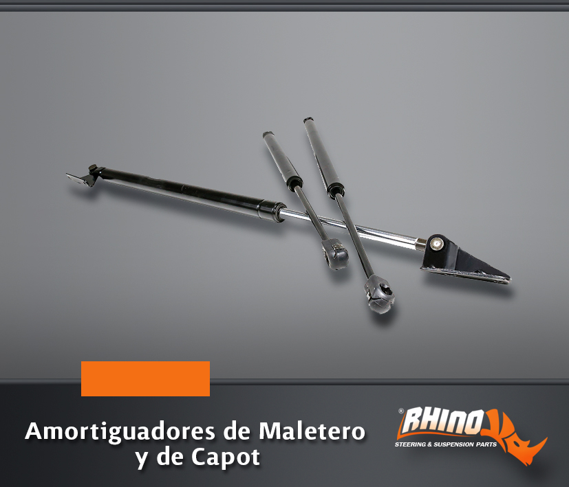 15 Amort Maletero y Capot